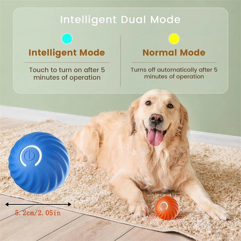 PawGlide – Interactive Moving Pet Ball