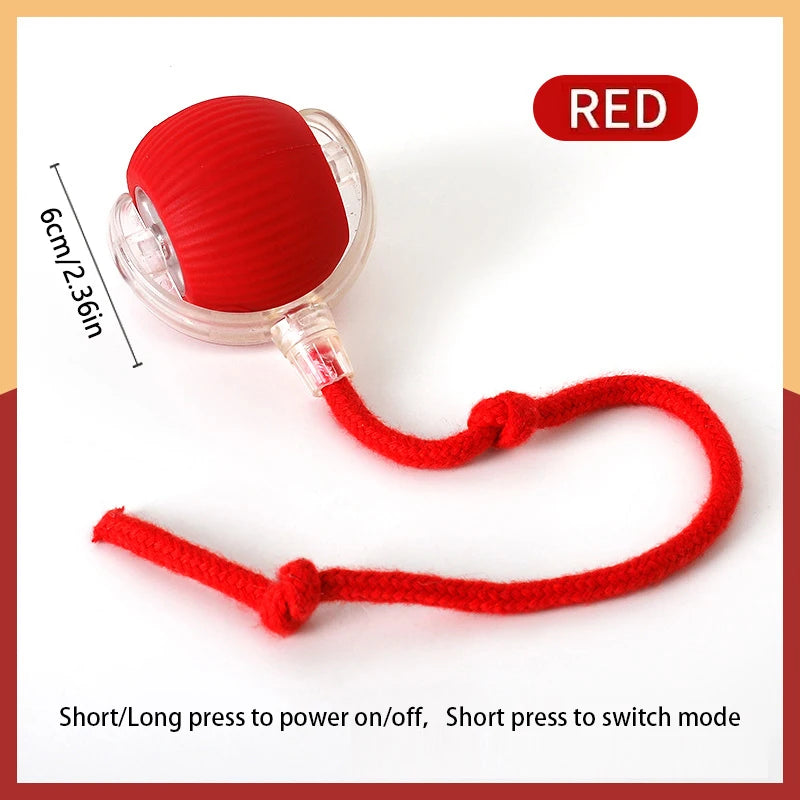 PawGlide – Interactive Moving Pet Ball