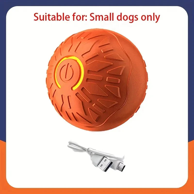 PawGlide – Interactive Moving Pet Ball