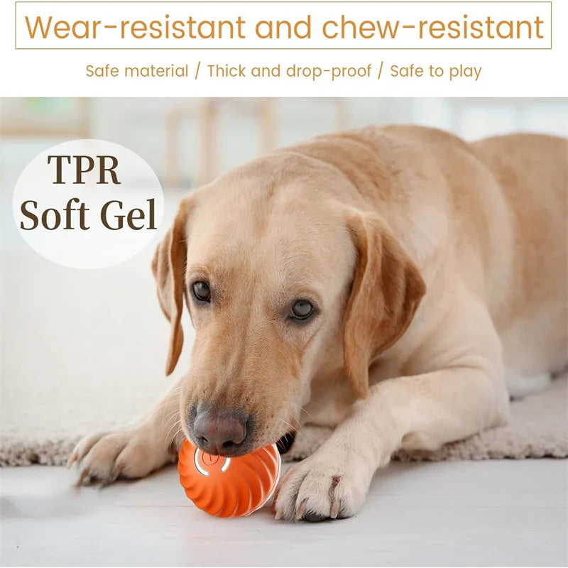 PawGlide – Interactive Moving Pet Ball