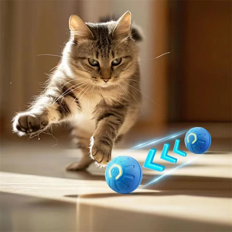 PawGlide – Interactive Moving Pet Ball