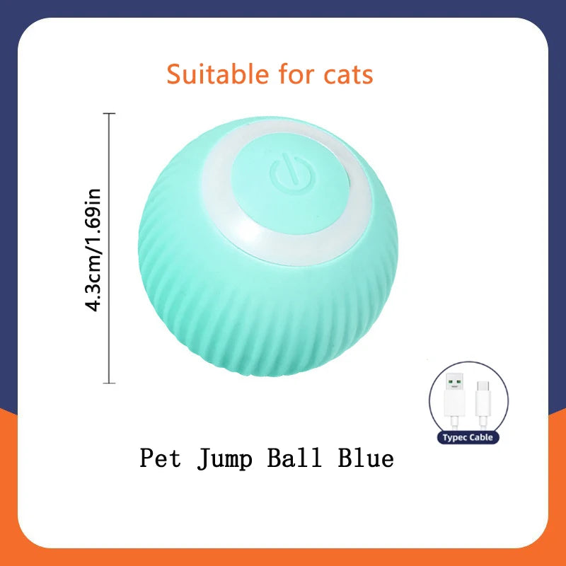 PawGlide – Interactive Moving Pet Ball