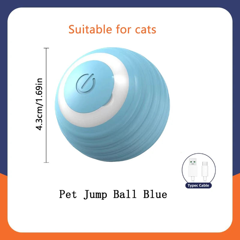 PawGlide – Interactive Moving Pet Ball
