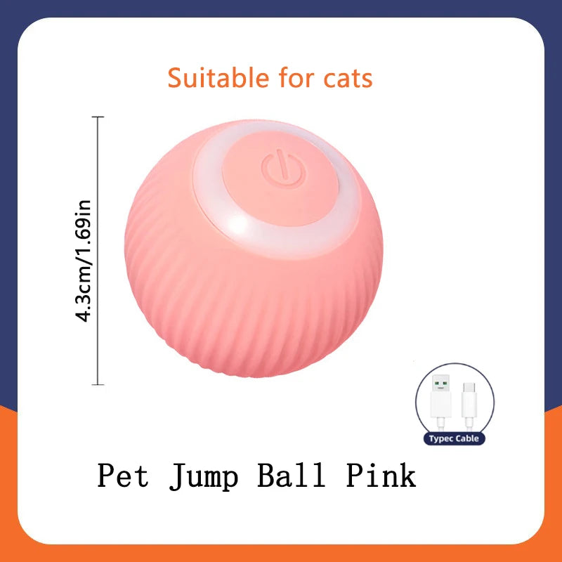 PawGlide – Interactive Moving Pet Ball