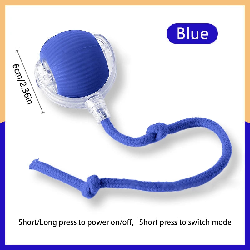 PawGlide – Interactive Moving Pet Ball