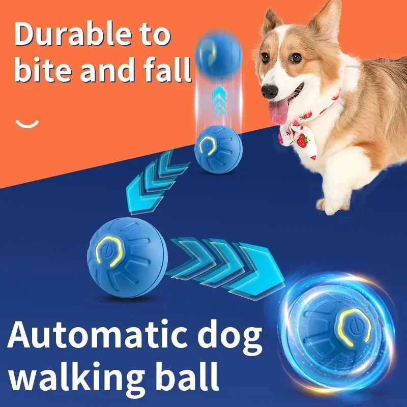 PawGlide – Interactive Moving Pet Ball