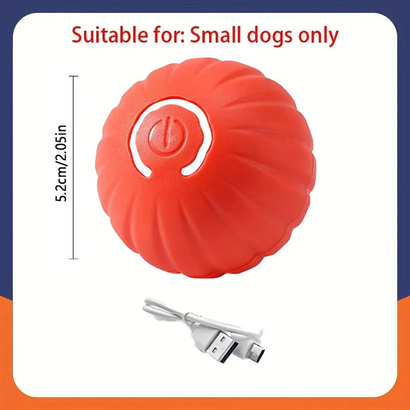 PawGlide – Interactive Moving Pet Ball