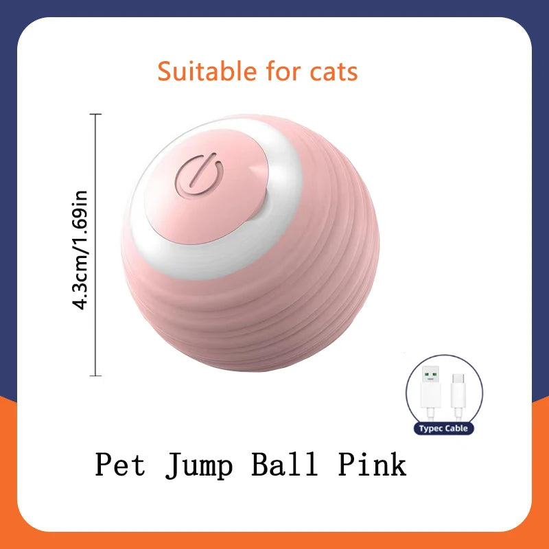 PawGlide – Interactive Moving Pet Ball